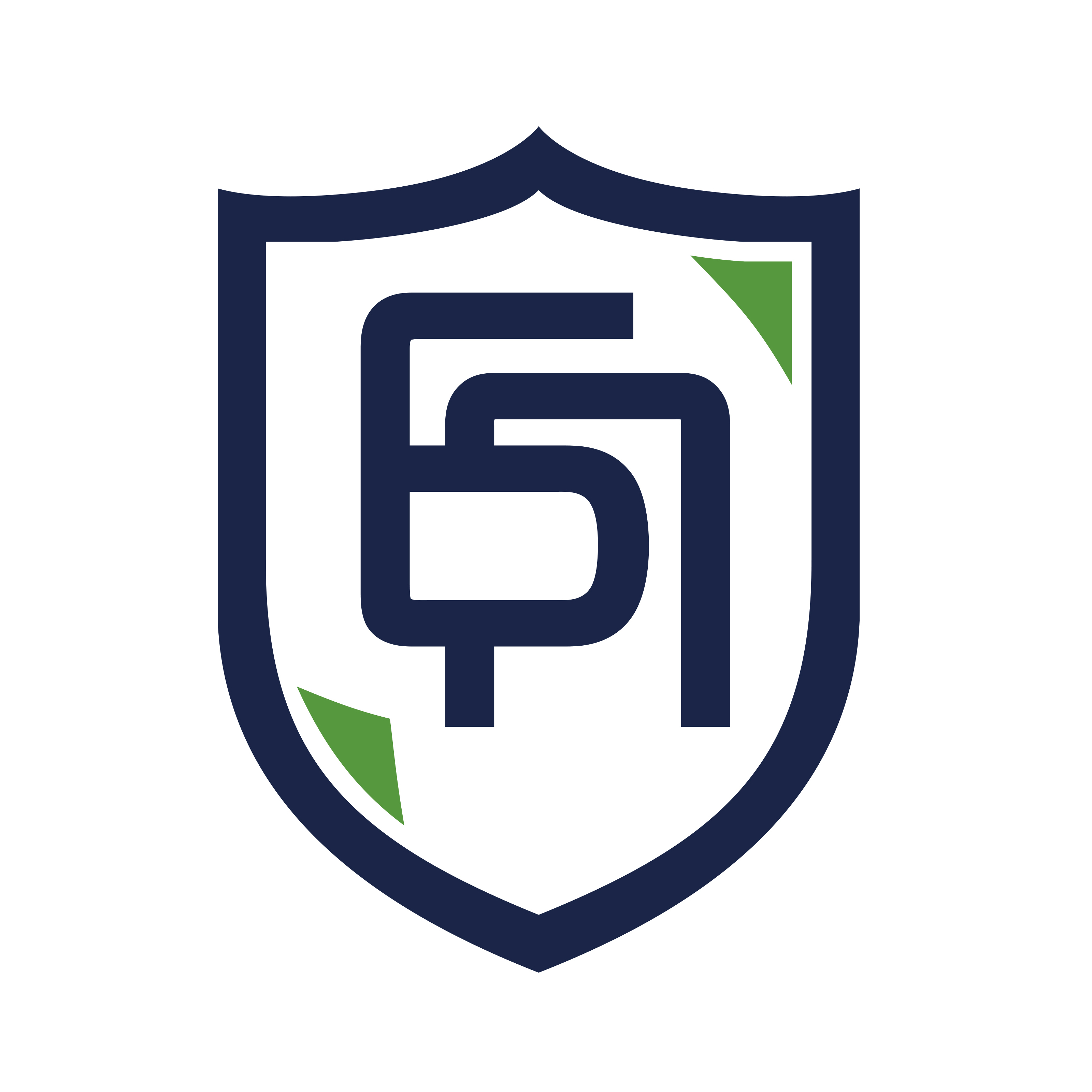 Бином Права Логотип(logo)